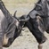 Male wildebeest fight for females